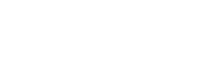 The Princeton Festival